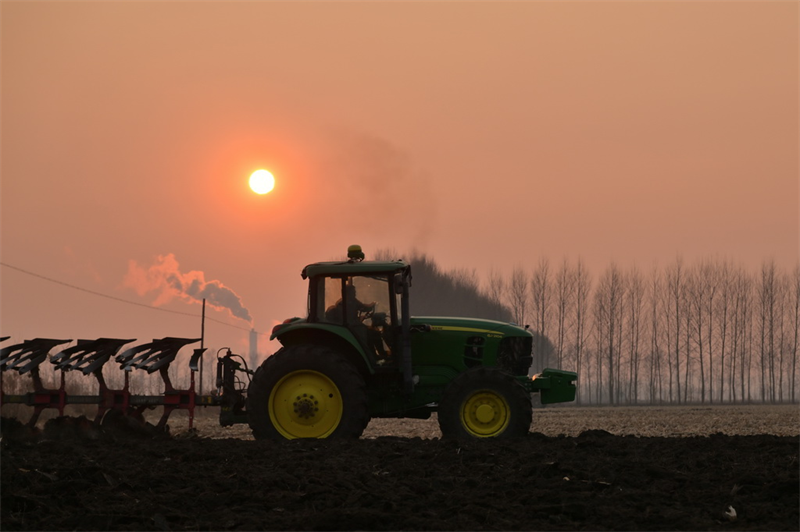 Heilongjiang : la récolte de céréales d'automne est séchée et stockée dans les entrep?ts