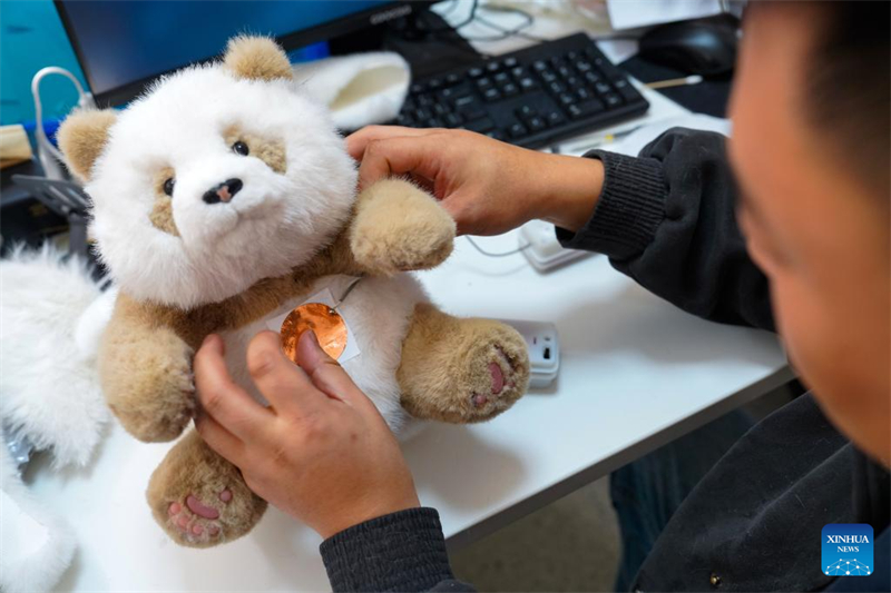 Les jouets innovants chinois sur le thème du panda populaires dans le monde entier