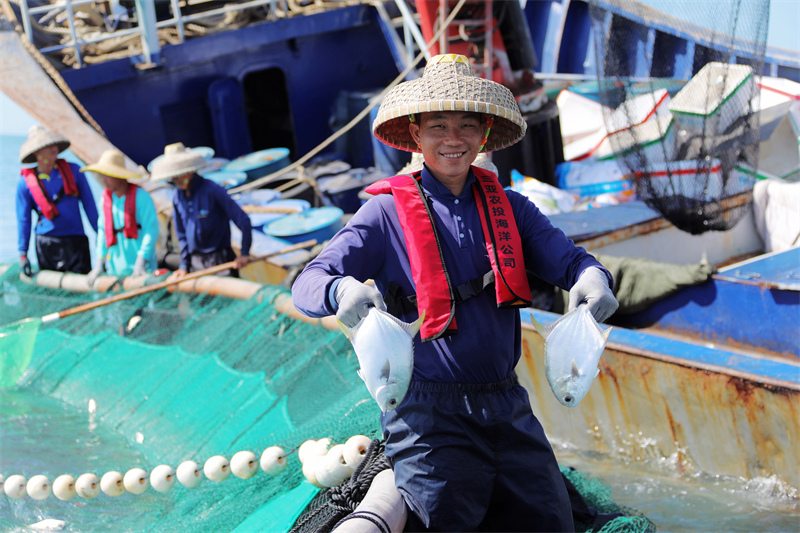 Hainan : une récolte abondante d'aquaculture en cages en eau profonde à Sanya