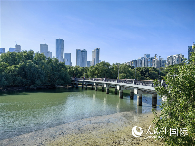 Guangdong : des journalistes chinois et étrangers découvrent le corridor écologique de la rivière Dasha, une nouvelle carte de visite pour le développement écologique vert de Shenzhen