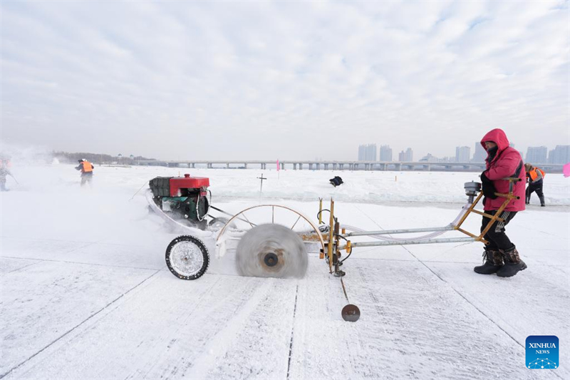 Heilongjiang : la saison de collecte de glace a commencé à Harbin