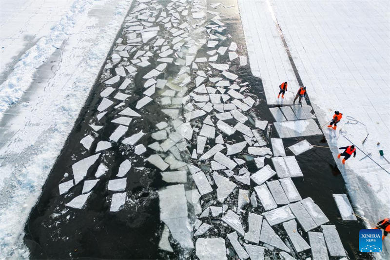 Heilongjiang : la saison de collecte de glace a commencé à Harbin