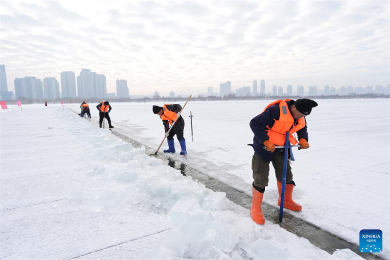 Heilongjiang : la saison de collecte de glace a commencé à Harbin