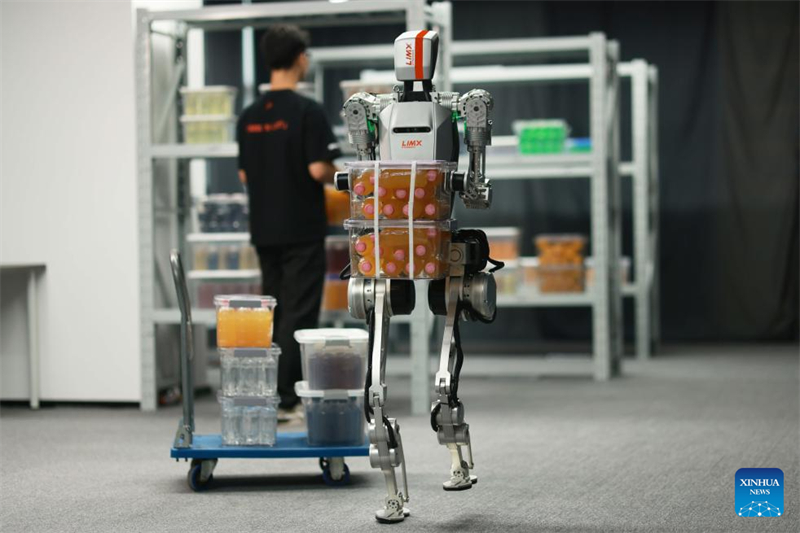 Le développement des robots humano?des prospère dans la région de la Grande Baie Guangdong-Hong Kong-Macao