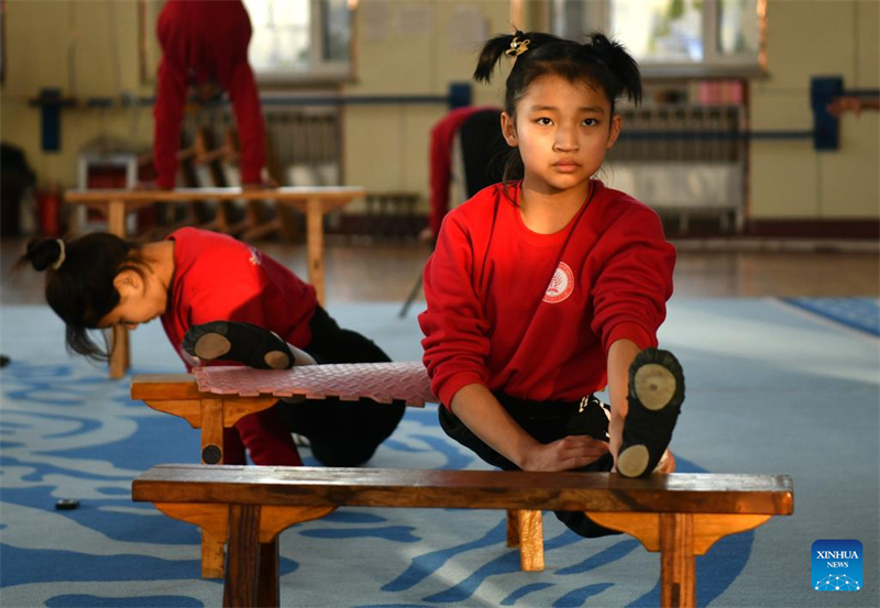 Hebei : les acrobaties traditionnelles de Wuqiao