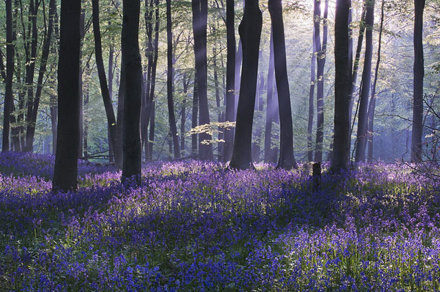 Les plus beaux paysages de Grande-Bretagne vus par des photographes (4)