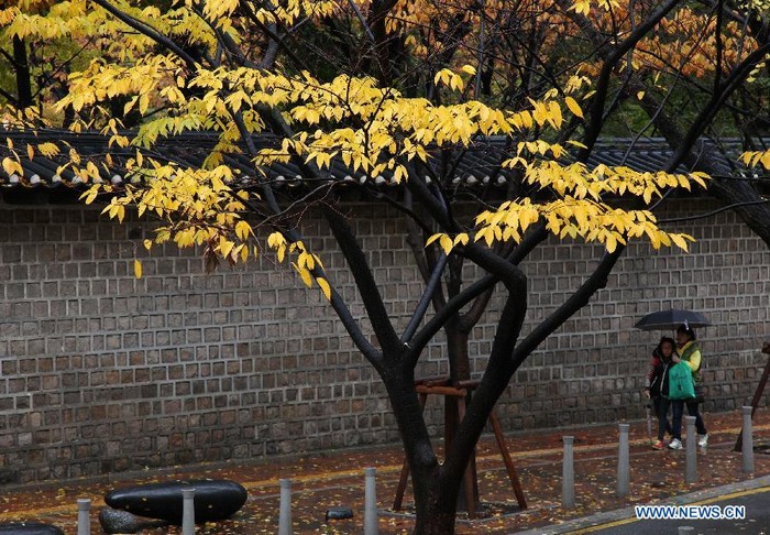 Photo: beaux paysages d'automne à Séoul, en Corée du Sud (2)