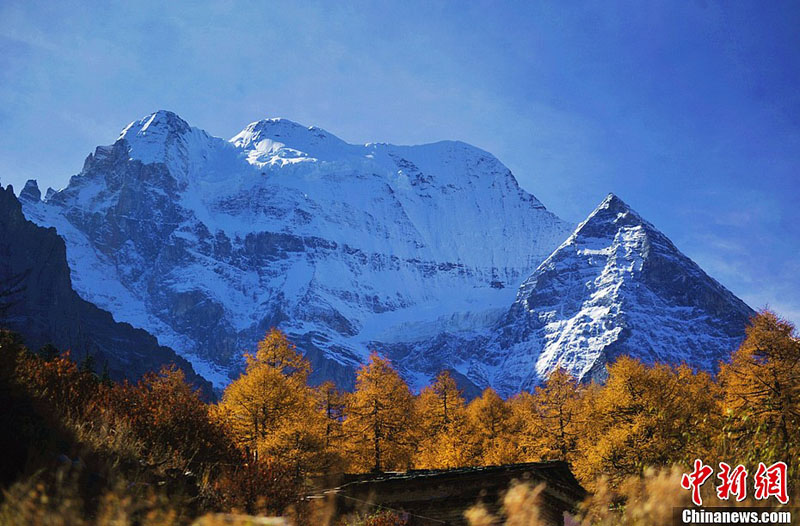 L'automne du dernier Shangri-La