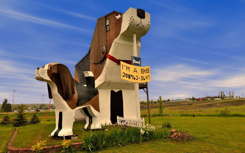 L'h?tel Dog Park, IdahoLe propriétaire avait l'intention d'attirer les clients avec des statues d'animaux domestiques, mais ce fut en vain. Il semble en effet que son idée soit peu appréciée.