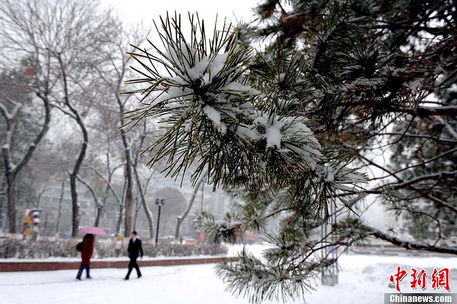 Xinjiang : une vingtaine de vols retardés en raison de la neige (5)