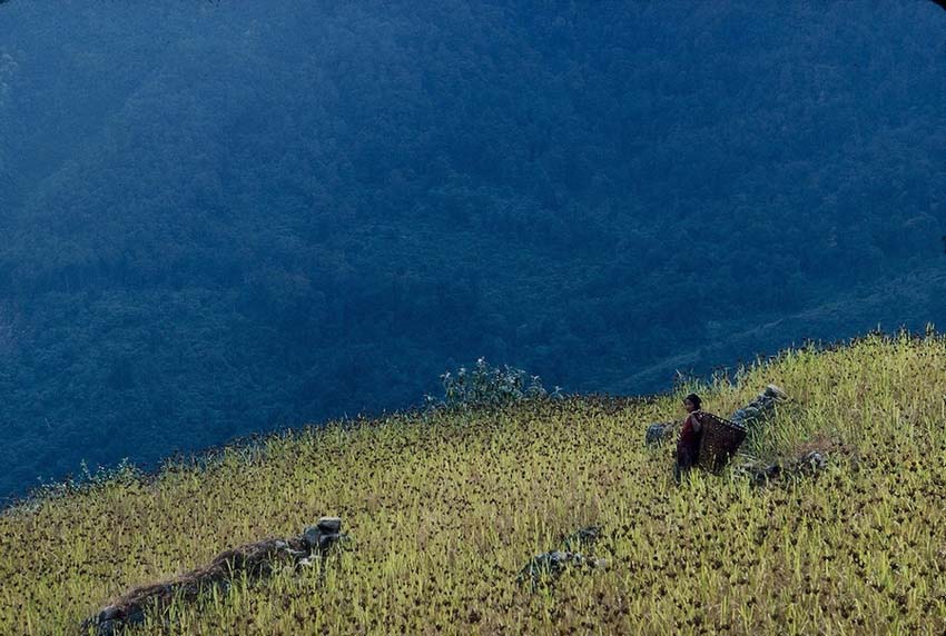 Le mystère et toute l'émotion de l'Himalaya (5)