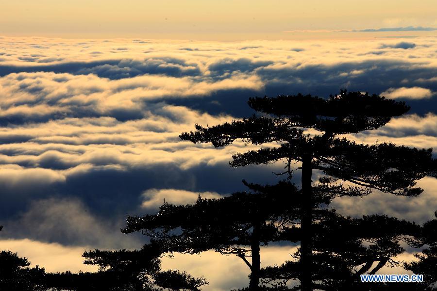 Photos: paysages de la mer de nuages des monts Huang (4)