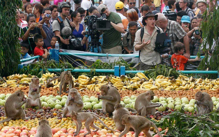 Tha?lande : un gala de fruits pour remercier les singes (4)