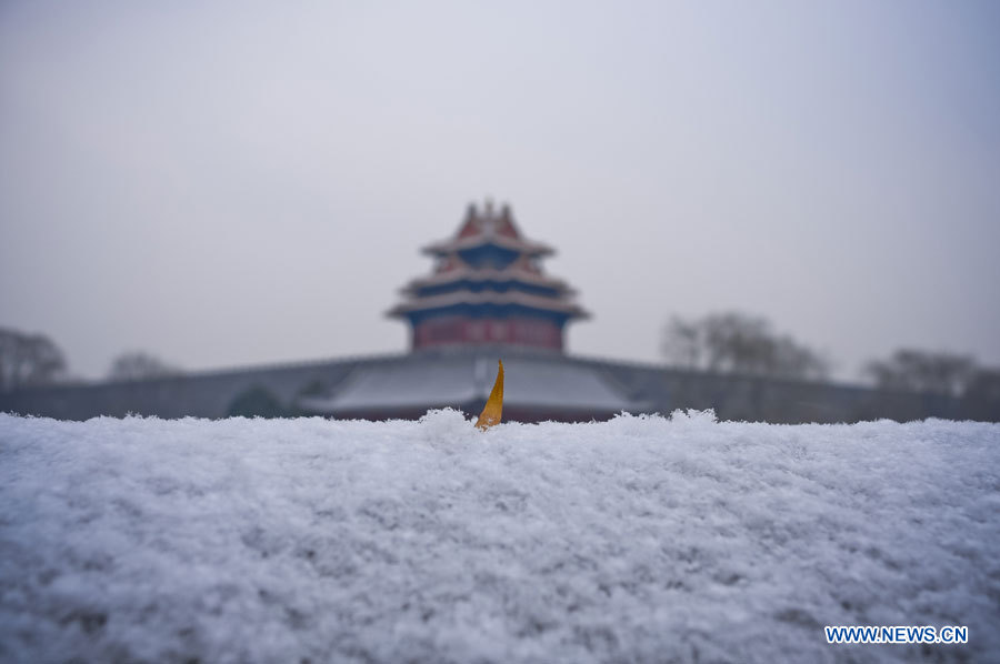 La Cité interdite sous la neige, à Beijing, capitale chinoise, le 12 décembre 2012. Une chute de neige a touché la ville mercredi. (Photo/Zhang Chen)