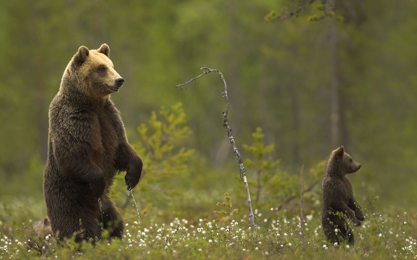 L'Europe du Nord sous l'objectif d'un photographe britannique