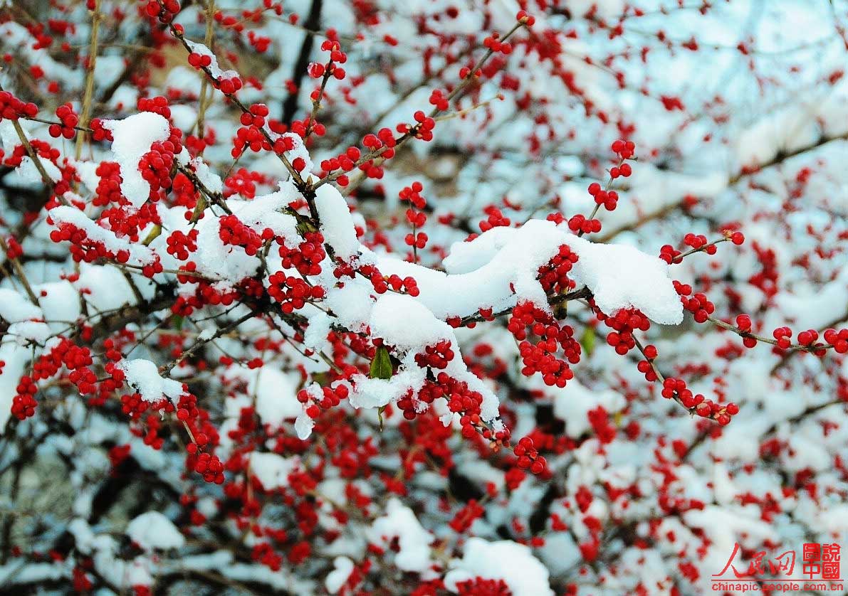 Une Chine magnifique sous la neige (5)