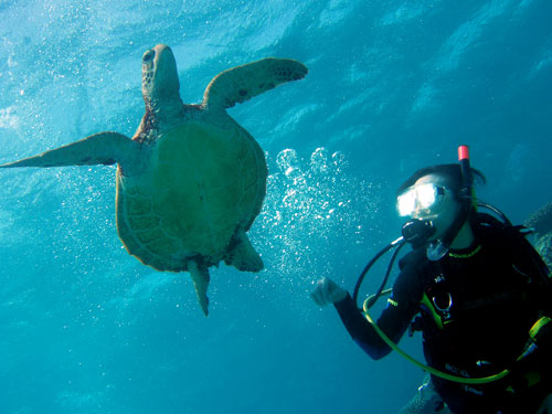 Un touriste étranger demande à l'h?tel de lui arranger un voyage d'une journée pendant lequel il peut visiter Sydney, Melbourne, Alice Springs et la Grande barrière de corail.