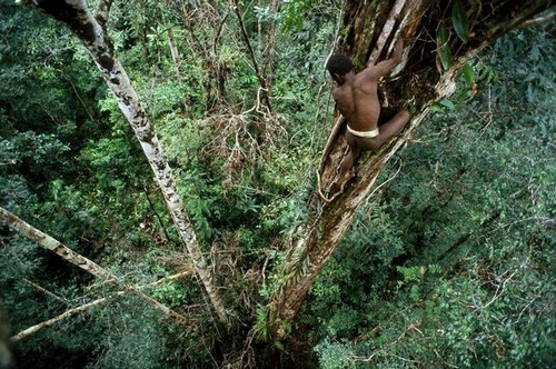 Papouasie-Nouvelle-Guinée : les seuls peuples du monde qui vivent dans les arbres (15)