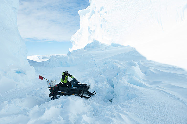 Antarctique : à la découverte d'une colonie de manchots empereurs (5)