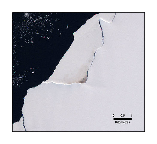 Antarctique : à la découverte d'une colonie de manchots empereurs (6)