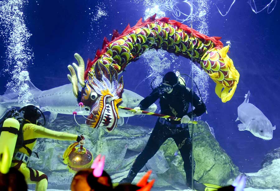 Ce dragon en a l'eau à la bouche ! Une danse du dragon à L'Aquarium de Beijing le 5 février 2013.