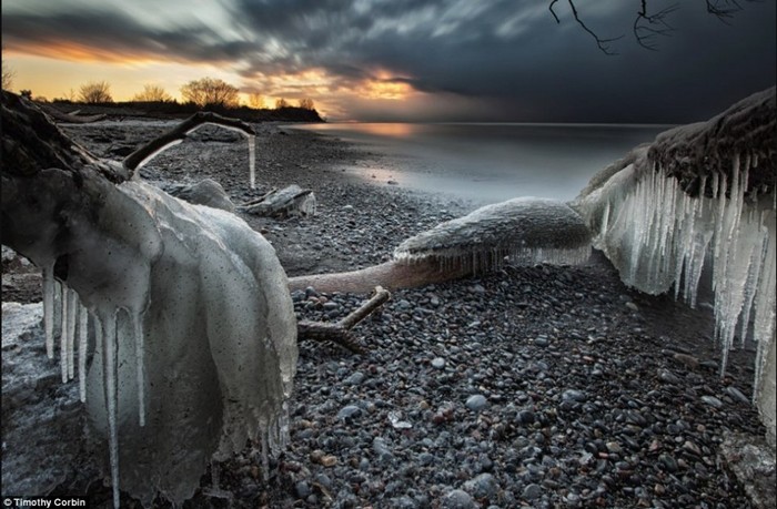 Canada : le givre sur les rives du lac Ontario (4)