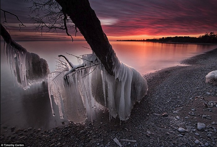 Canada : le givre sur les rives du lac Ontario (2)