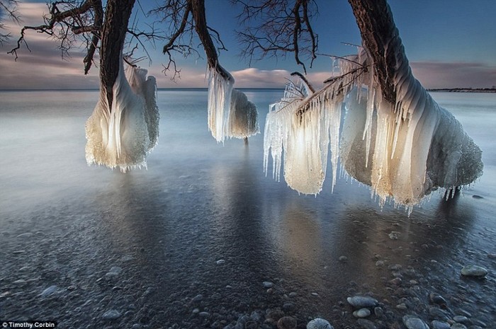 Canada : le givre sur les rives du lac Ontario