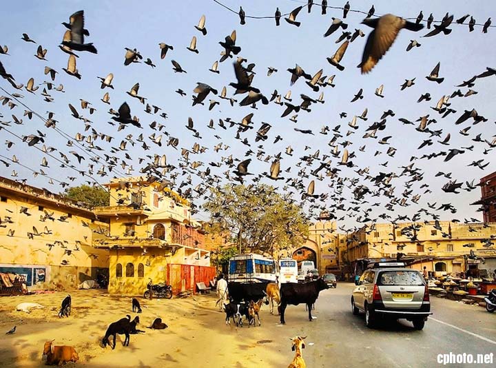 Les ?uvres sélectionnées pour le concours Sony World Photography Awards 2013 (4)