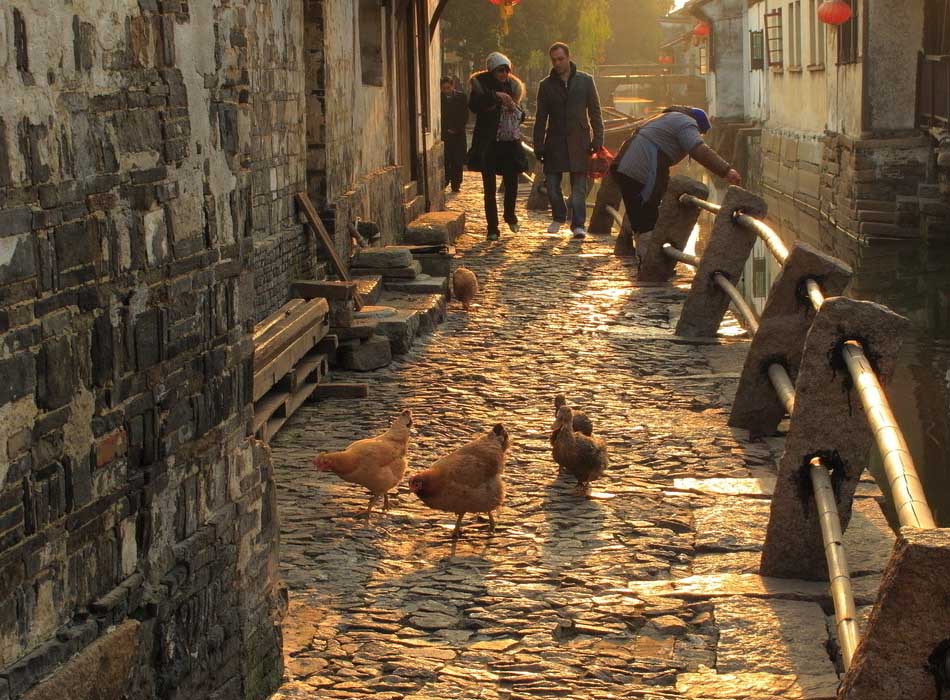 Zhouzhuang, un ? pays de l'eau ? typique de la Chine (2)