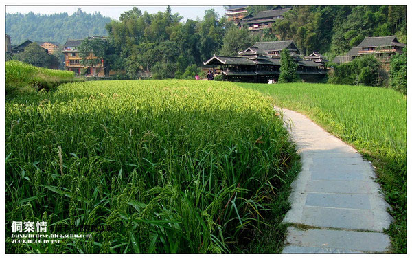 Découvrez le village Dong de Chengyang au Guangxi (10)