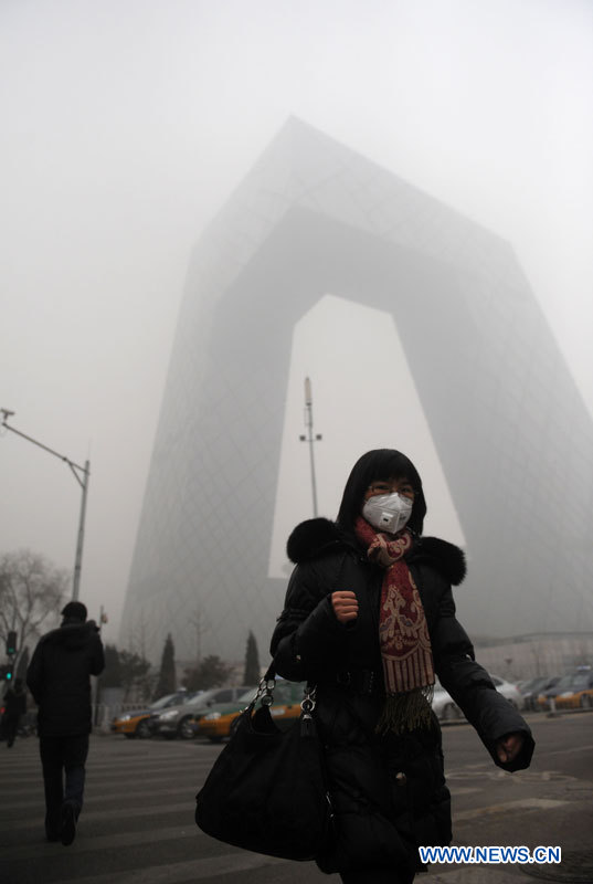 Beijing et les regions alentour confrontées à une qualité de l'air "dangereuse" (9)