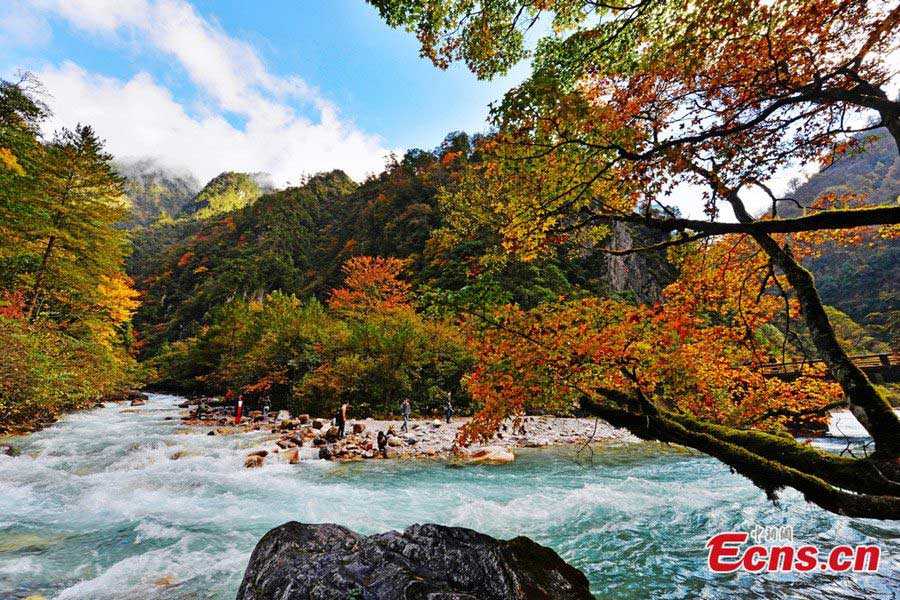 Baoxing, une féerie au Sichuan (7)