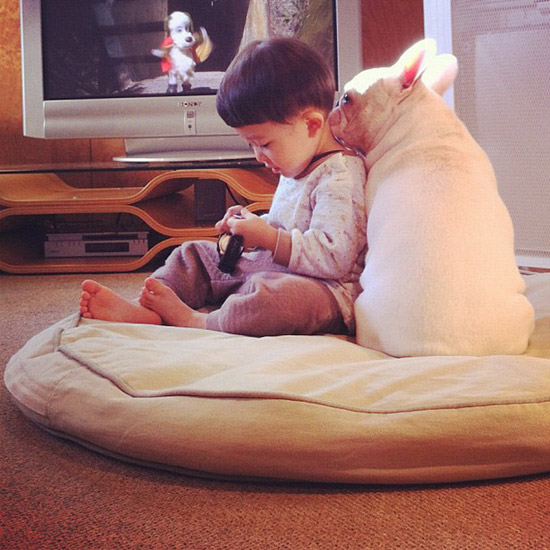 Un petit gar?on japonais et son bouledogue très mignon (4)