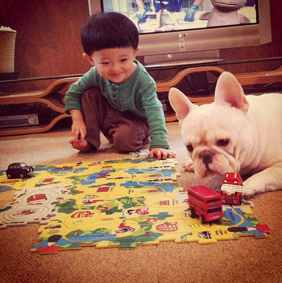 Un petit gar?on japonais et son bouledogue très mignon (11)