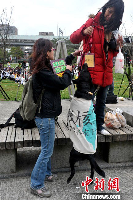 Manifestation anti-nucléaire à Taiwan (4)