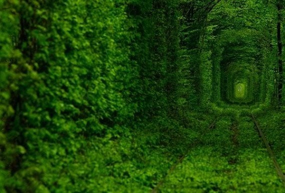 Le Tunnel de l'amour, à Kleven, en Ukraine