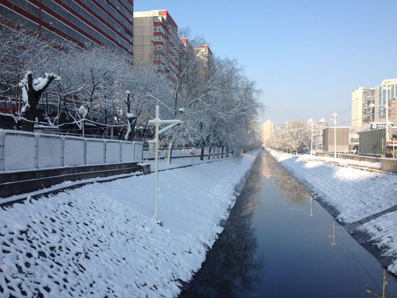 Beijing sous la neige printanière (11)