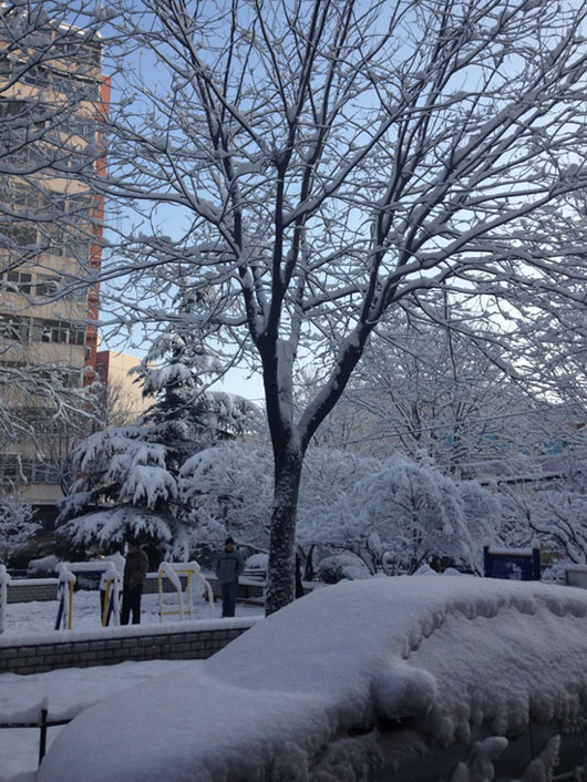 Beijing sous la neige printanière (10)