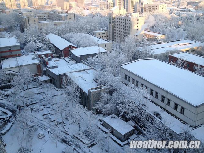 Beijing sous la neige printanière (7)