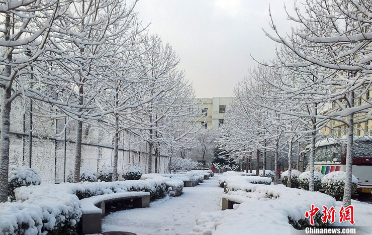 Beijing sous la neige printanière