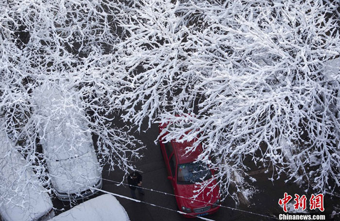 Beijing sous la neige printanière (4)