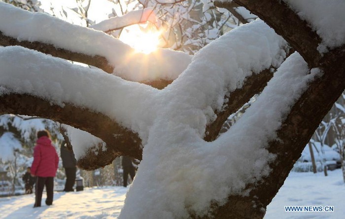 Photo prise le 20 mars 2013 montrant des paysages de neige à Beijing, capitale de la Chine. Des chutes de neige ont frappé la ville de Beijing depuis la nuit de mardi.