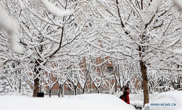 Un homme marche dans la rue à Beijing, capitale de la Chine, le 20 mars 2013. Des chutes de neige ont frappé la ville de Beijing depuis la nuit de mardi.