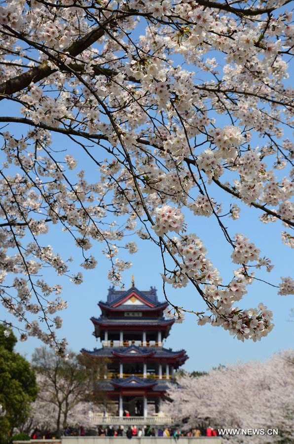 Photo prise le 21 mars 2013 à Wuxi, dans la province du Jiangsu