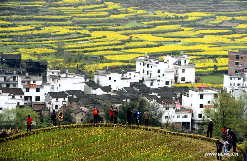 Photo prise le 21 mars 2013 à Wuyuan, dans la province du Jiangxi