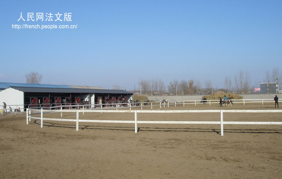 Une journée dans la ferme ? chevalier sans souci ? en banlieue de Beijing