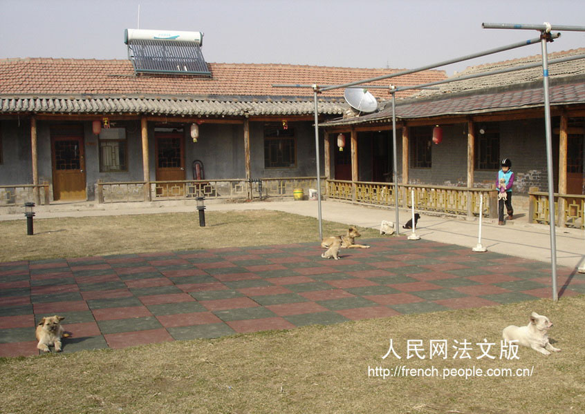 Une journée dans la ferme ? chevalier sans souci ? en banlieue de Beijing (8)