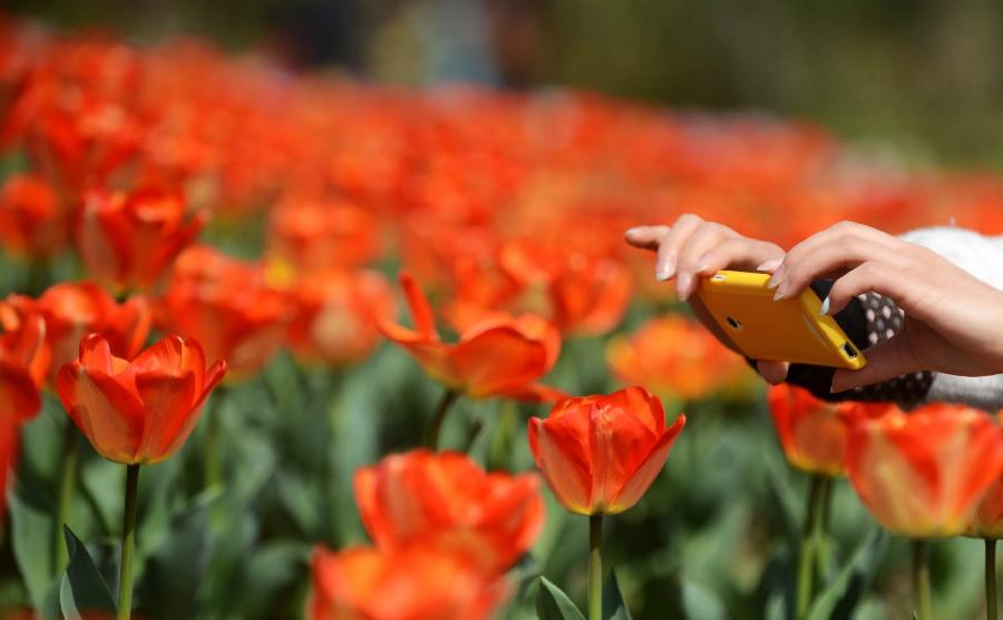 Le printemps sur le Lac étroit de l'Ouest à Yangzhou