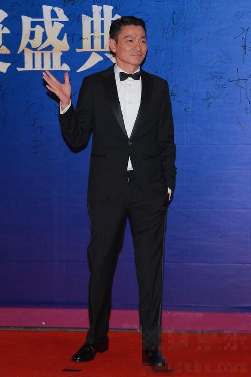 Défilé de stars sur le tapis rouge du Huading Award 2013 (8)